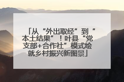 从“外出取经”到“本土结果”！叶县“党支部+合作社”模式绘就乡村振兴新图景