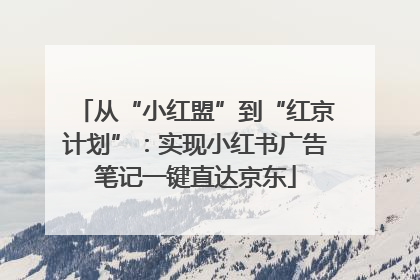 从“小红盟”到“红京计划”：实现小红书广告笔记一键直达京东