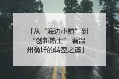 从“海边小镇”到“创新热土” 看温州翁垟的转型之道