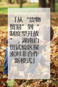 从“货物贸易”到“制度型开放”，湖南自贸试验区探索对非合作新模式