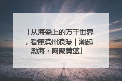 从海瓷上的万千世界，看懂滨州浪漫｜潮起渤海・网聚黄蓝