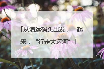 从漕运码头出发，一起来，“行走大运河”