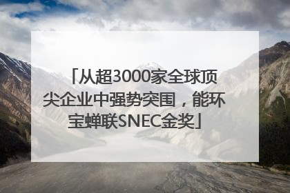 从超3000家全球顶尖企业中强势突围，能环宝蝉联SNEC金奖