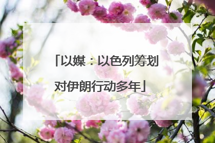 以媒：以色列筹划对伊朗行动多年