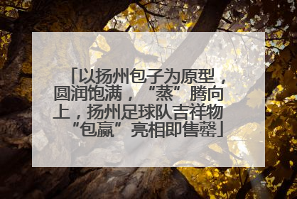 以扬州包子为原型，圆润饱满，“蒸”腾向上，扬州足球队吉祥物“包赢”亮相即售罄