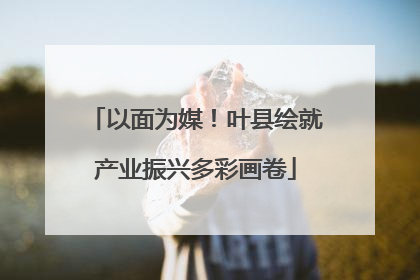 以面为媒！叶县绘就产业振兴多彩画卷