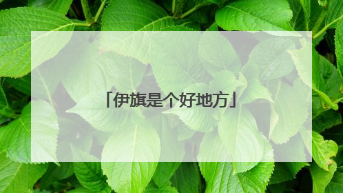伊旗是个好地方