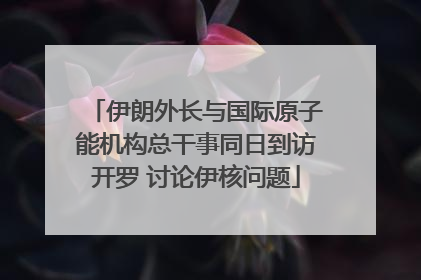 伊朗外长与国际原子能机构总干事同日到访开罗 讨论伊核问题