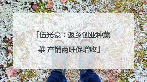 伍光豪：返乡创业种蔬菜 产销两旺促增收