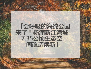 会呼吸的海绵公园来了！杨浦新江湾城7.35公顷生态空间改造焕新