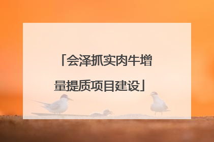 会泽抓实肉牛增量提质项目建设