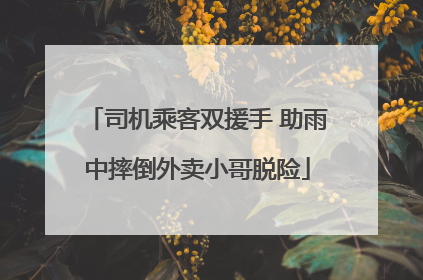 司机乘客双援手 助雨中摔倒外卖小哥脱险