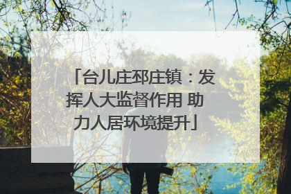台儿庄邳庄镇：发挥人大监督作用 助力人居环境提升