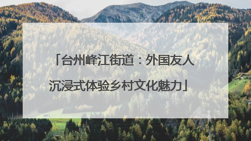 台州峰江街道：外国友人沉浸式体验乡村文化魅力