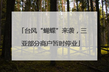 台风“蝴蝶”来袭，三亚部分商户暂时停业