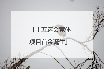 十五运会竞体项目首金诞生
