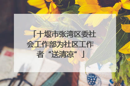 十堰市张湾区委社会工作部为社区工作者“送清凉”