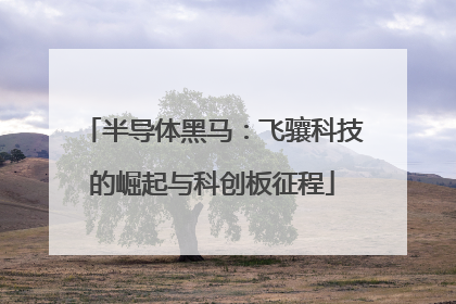 半导体黑马：飞骧科技的崛起与科创板征程