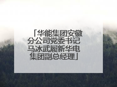 华能集团安徽分公司党委书记马冰武履新华电集团副总经理