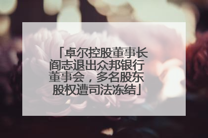 卓尔控股董事长阎志退出众邦银行董事会，多名股东股权遭司法冻结