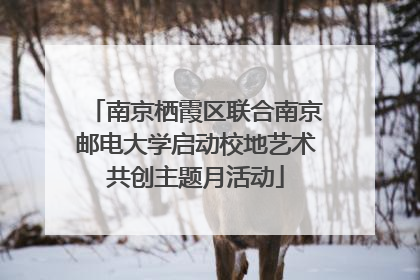 南京栖霞区联合南京邮电大学启动校地艺术共创主题月活动