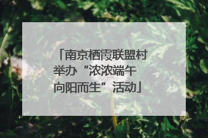 南京栖霞联盟村举办“浓浓端午 向阳而生”活动