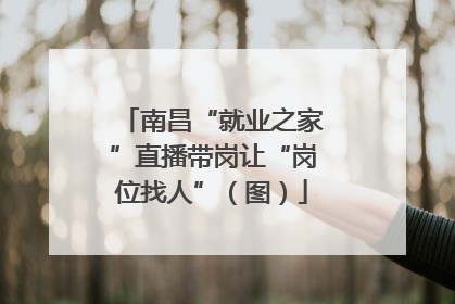 南昌“就业之家”直播带岗让“岗位找人”（图）