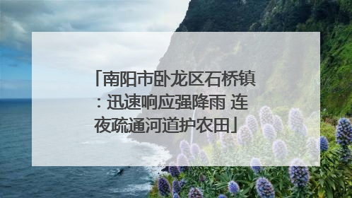 南阳市卧龙区石桥镇：迅速响应强降雨 连夜疏通河道护农田