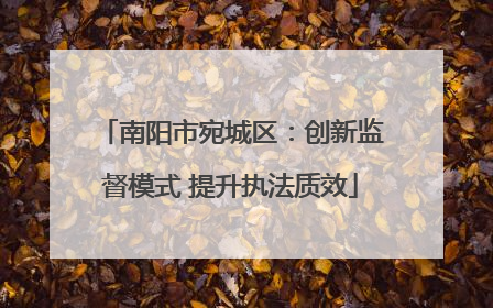 南阳市宛城区：创新监督模式 提升执法质效