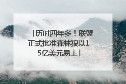 历时四年多！联盟正式批准森林狼以15亿美元易主