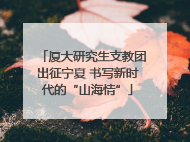 厦大研究生支教团出征宁夏 书写新时代的“山海情”