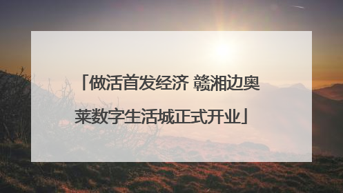 做活首发经济 赣湘边奥莱数字生活城正式开业