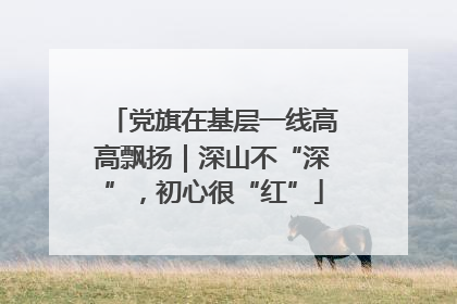 党旗在基层一线高高飘扬｜深山不“深”，初心很“红”