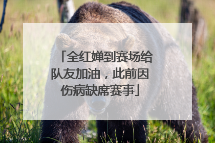 全红婵到赛场给队友加油，此前因伤病缺席赛事