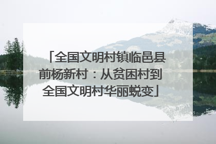 全国文明村镇临邑县前杨新村：从贫困村到全国文明村华丽蜕变