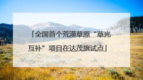 全国首个荒漠草原“草光互补”项目在达茂旗试点
