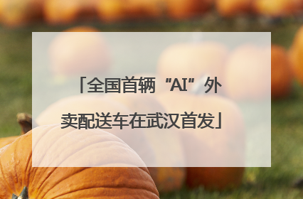 全国首辆“AI”外卖配送车在武汉首发