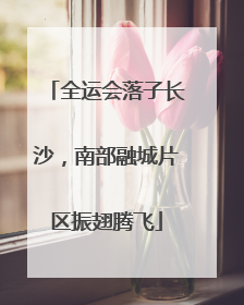全运会落子长沙，南部融城片区振翅腾飞