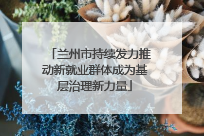 兰州市持续发力推动新就业群体成为基层治理新力量