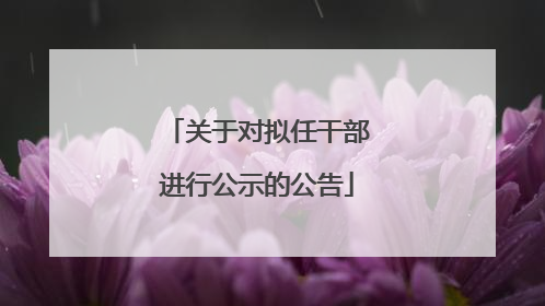关于对拟任干部进行公示的公告