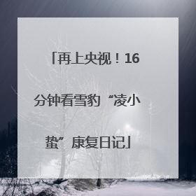 再上央视！16分钟看雪豹“凌小蛰”康复日记