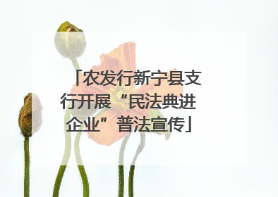 农发行新宁县支行开展“民法典进企业”普法宣传