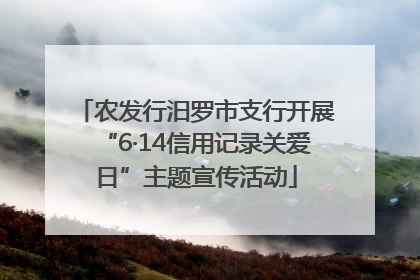 农发行汨罗市支行开展“6·14信用记录关爱日”主题宣传活动
