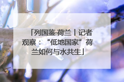 列国鉴·荷兰丨记者观察：“低地国家”荷兰如何与水共生