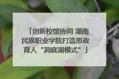 创新校馆协同 湖南民族职业学院打造思政育人“洞庭湖模式”