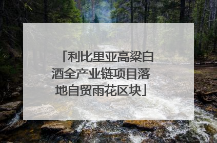 利比里亚高粱白酒全产业链项目落地自贸雨花区块