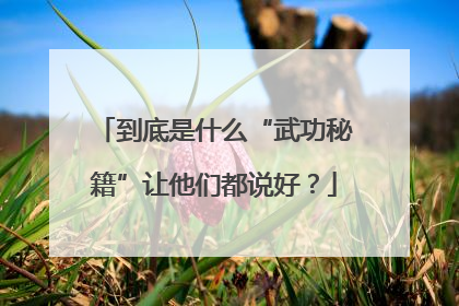 到底是什么“武功秘籍”让他们都说好？