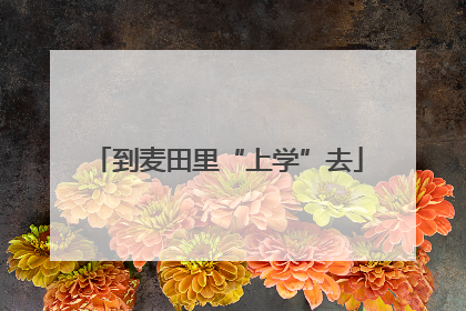 到麦田里“上学”去