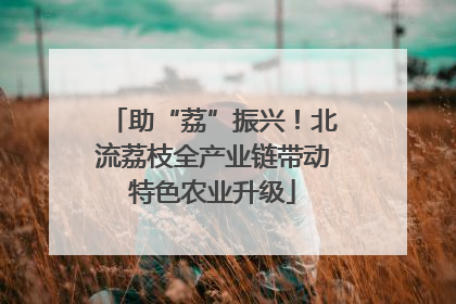助“荔”振兴！北流荔枝全产业链带动特色农业升级