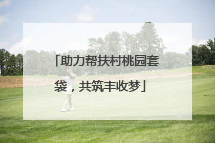 助力帮扶村桃园套袋，共筑丰收梦